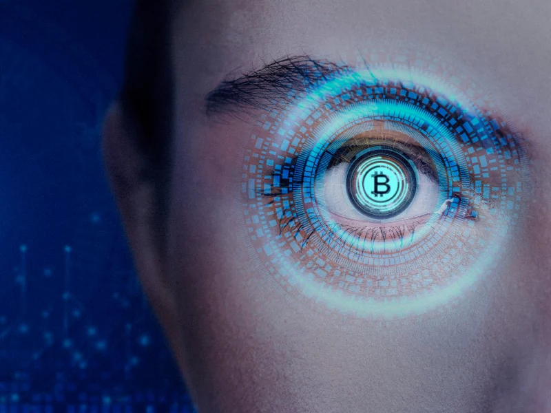 Blockchain digital identity verification process infographic