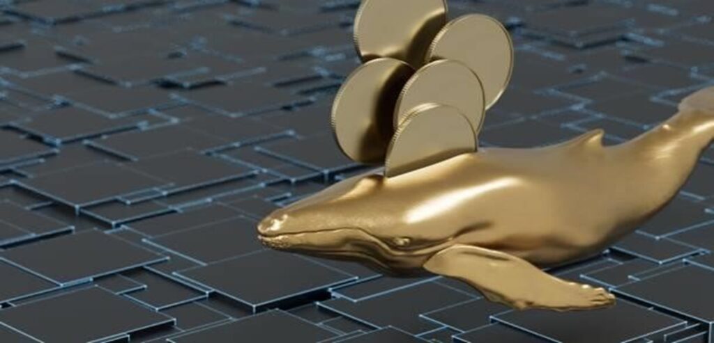 crypto whales