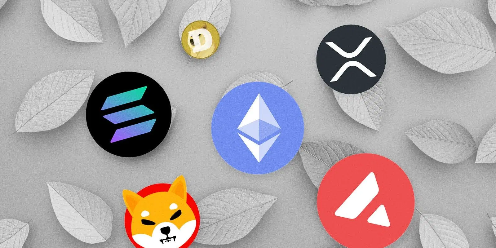 Three cryptocurrencies—MANTRA (OM), NPC, and Ponke (PONKE)—hit all-time highs on November 18, 2024.