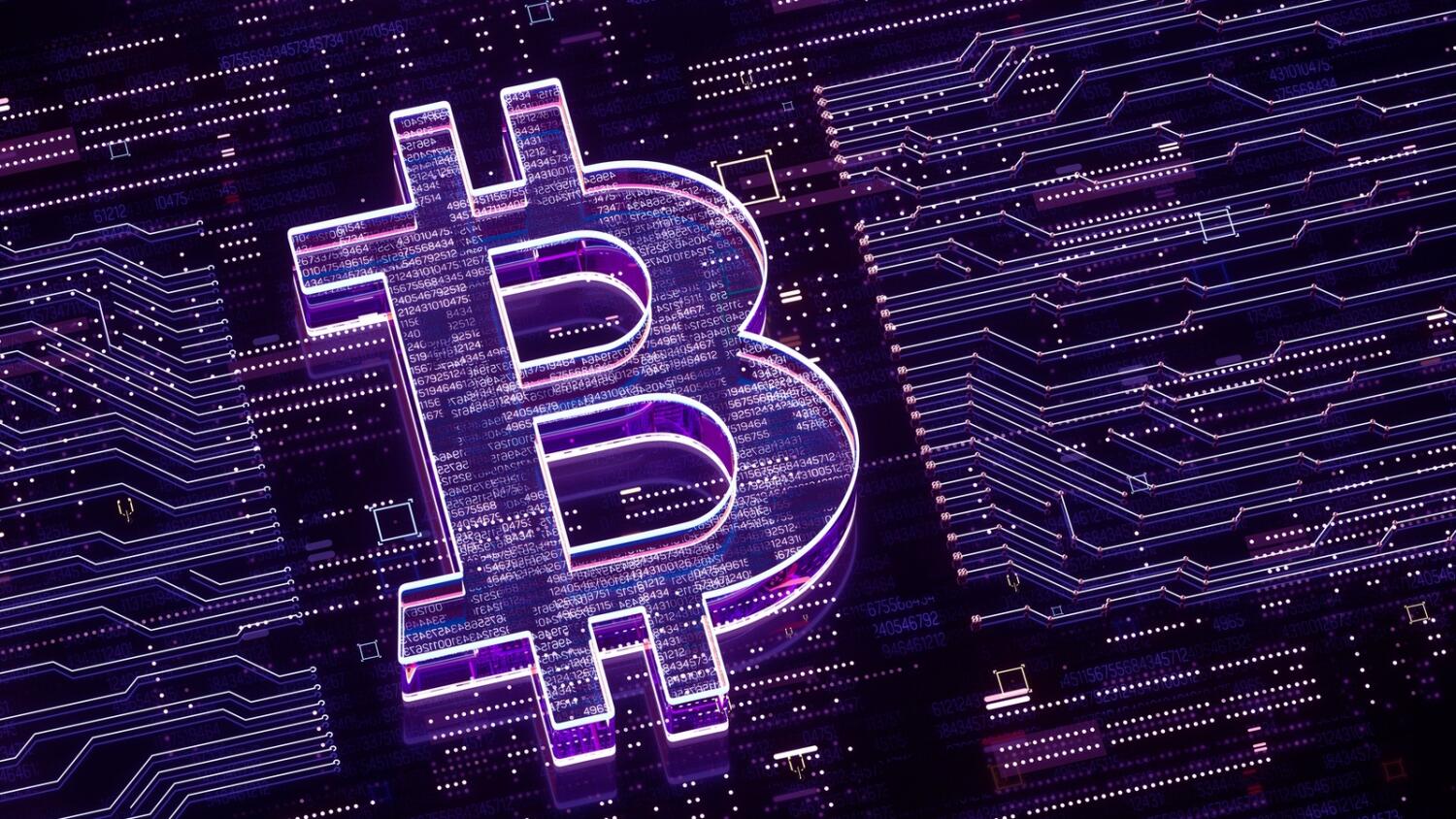 Crypto VC Investments November 2024 Graph showing $449 million total