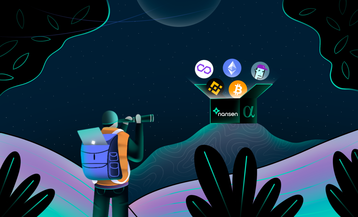 Tracking crypto wallets across blockchains with Nansen for better portfolio management