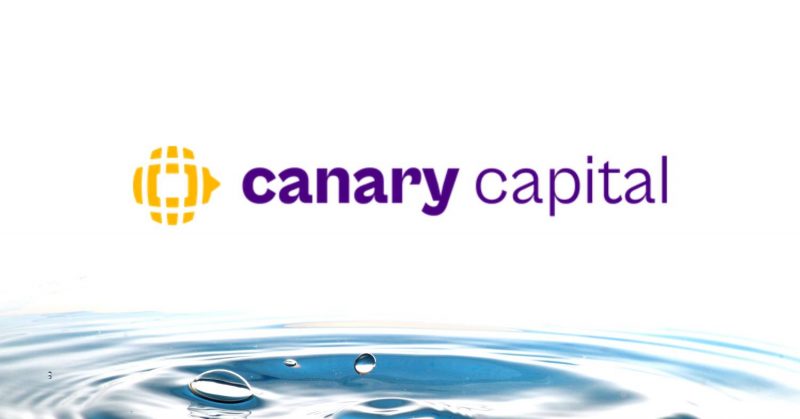 Canary Capital staked SEI ETF trust registration in Delaware